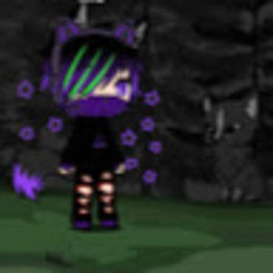 Meet your Posher, Brody